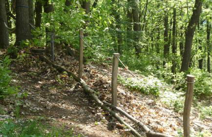 Cascina Marasca Appartamento Viola - Photo 11