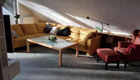 Große Ferienwohnung, auf Bauernhof mit Ponys und Pferden, ländlich und ruhig, Nähe Dümmer See - Photo 3