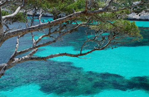 SUD PASSION - Sakakini - calme - 3 chambres - lumineux - fibre - Foto 37