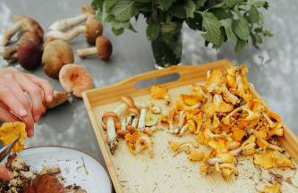 Miło las widzieć - Foto 31