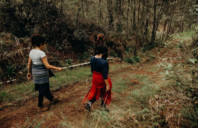 Villa Pajon Eco Lodge - Foto 40