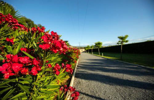 GÎTES DU MAS BEL'AIR ,PISCINE CHAUFFÉE - Foto 9