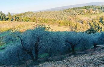 CASA ORNETO - Foto 64