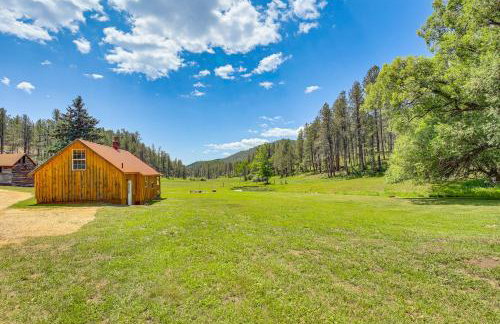 Remote Custer Cabin with Fire Pit and Near State Park! - Foto 2