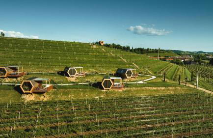 Glamping Alvearium Alturis - Foto 62