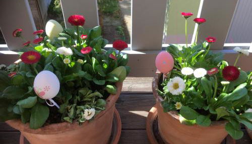 Stadtbleibe Naumburg - Foto 2