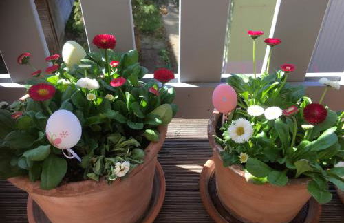 Stadtbleibe Naumburg - Foto 2