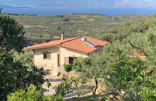 Olive Guest Farm - Foto 50