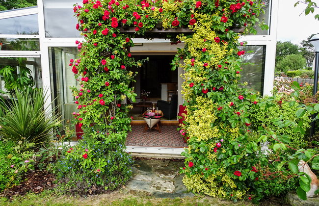 Ty Patrick - Foto 11