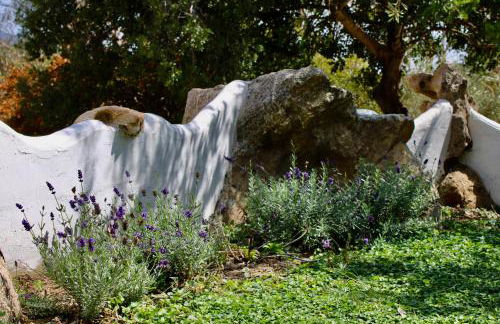 Domo Galàna - Foto 45