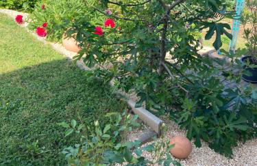 Ferienwohnung zum Mandelgraben - Foto 19