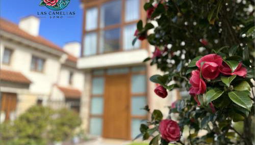 "LAS CAMELIAS SOMO" un lugar para desconectar!! Vistas al MAR!! - Foto 2