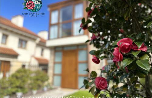 "LAS CAMELIAS SOMO" un lugar para desconectar!! Vistas al MAR!! - Foto 2