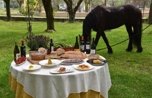 Antico Uliveto - Foto 48