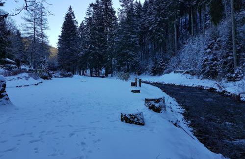 Spacious Apartment in Upper Harz near River - Foto 72