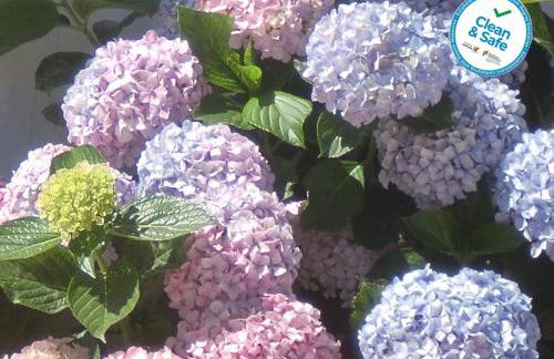 Horta da Quinta - Foto 31