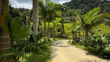 Recanto Fogo na Taça - Foto 1