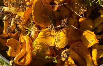 Pasterzewo 19 - Domki na Mazurach - Foto 77