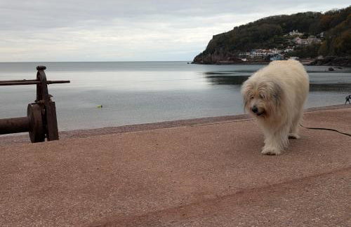 South Devon Holiday Retreat - Entire House - Family & Pet Friendly - Foto 41