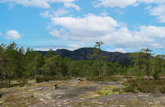 Telemarkshytta - Foto 15