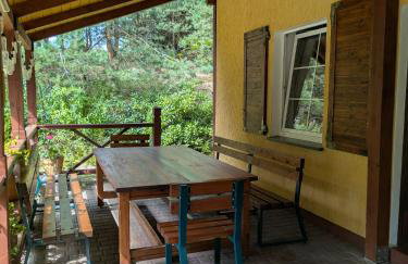 Gospodarstwo agroturystyczne nad jeziorem wśród lasów - Foto 26