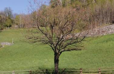 Il nido di Lele e Schina - Photo 61