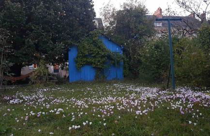 Maison chaleureuse avec grand jardin à 2h de Paris - Photo 12