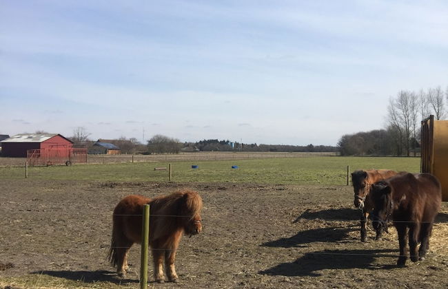 Holiday Home Rejsby near Rømø - Foto 39