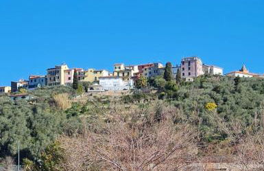 Dagli ulivi al mare - Foto 35