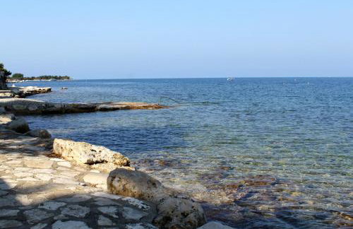 Apartments with parking space Dajla, Novigrad - 6935 - Photo 5