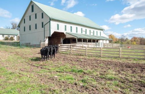 Cozy Cow Homestead with pool! - Foto 39