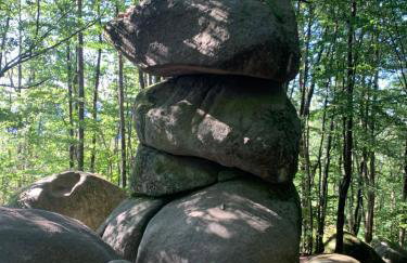 Le repaire du châtaignier, Maison à la campagne, 8 pers, 4 ch, Sidobre - Foto 41