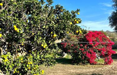 Villa Alzoni - Foto 42