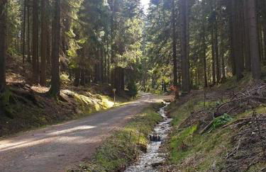 Bungalow Schwarzatalblick in Bad Blankenburg Ortsteil Böhlscheiben - Foto 54