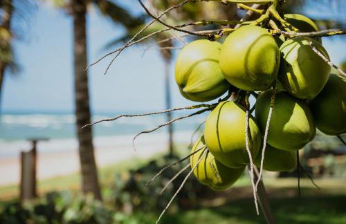 Flat Guarajuba Beira da Praia pé na areia - Foto 6