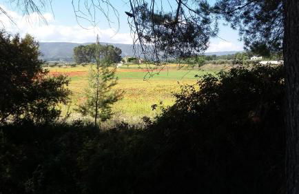 Appartement Casita - Foto 13