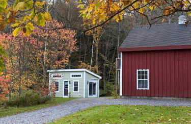 Red Barn Cabin Near Okemo - Foto 9