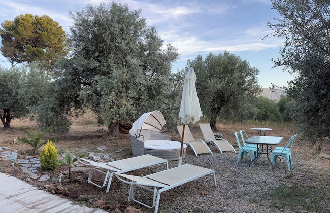 Finca Las Fuentezuelas - Photo 41