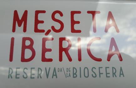 Apimonte City House B - Foto 19