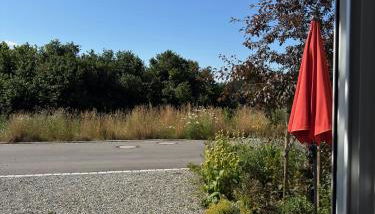 Ferienwohnung nahe des Bodensees - Foto 3, Garden, Garden view