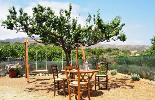 Traditional Cretan Villa - Photo 12