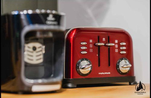 Hankówka Mazury - Foto 33