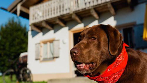 Ferienhaus im Landhausstil im Vital Camp Bayerbach - Foto 3
