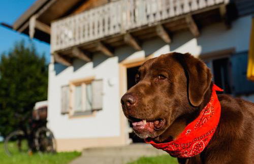 Ferienhaus im Landhausstil im Vital Camp Bayerbach - Foto 3