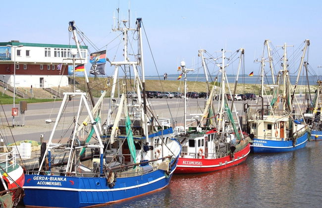 House, Dornumersiel - Foto 12