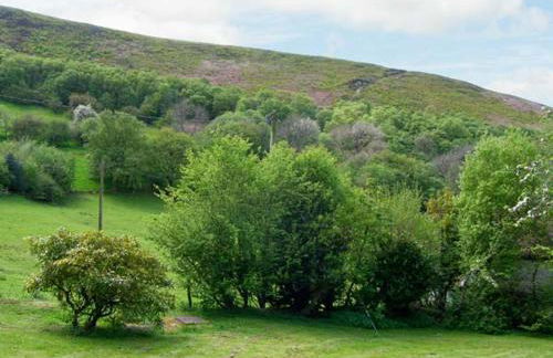 The Wilderness - Foto 19