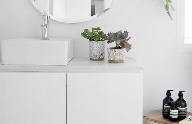 Flourish On Bull - Photo 14