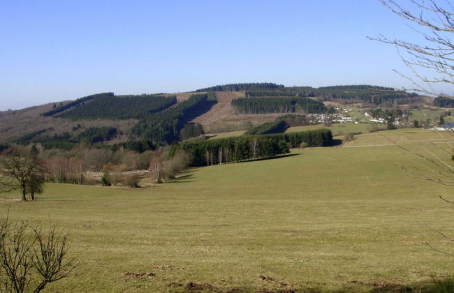 Beautiful Villa with Heated Outdoor Pool, Sauna, Hot Tub in Forest - Photo 33