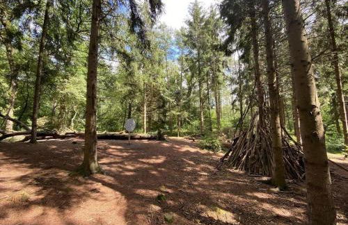 Ferienhaus Seestern am Harkebrügger See mit Sauna und Kamin - Foto 12