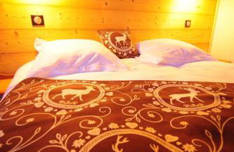 Chalet L'étagne - Foto 11